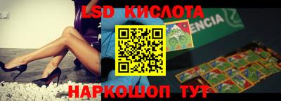 индика Рыбинск
