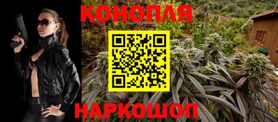 индика Рыбинск