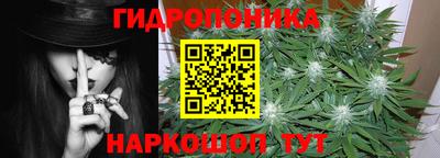 индика Рыбинск