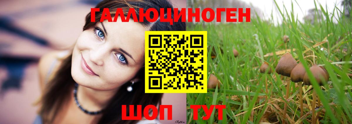 Славгород  купить наркотик  Вход с VPN  Псилоцибиновые грибы Psilocybine cubensis  Псилоцибиновые грибы мухоморы 