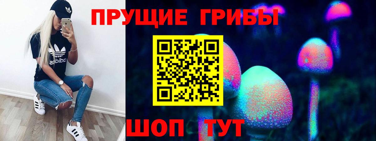 Галлюциногенные грибы мицелий Славгород